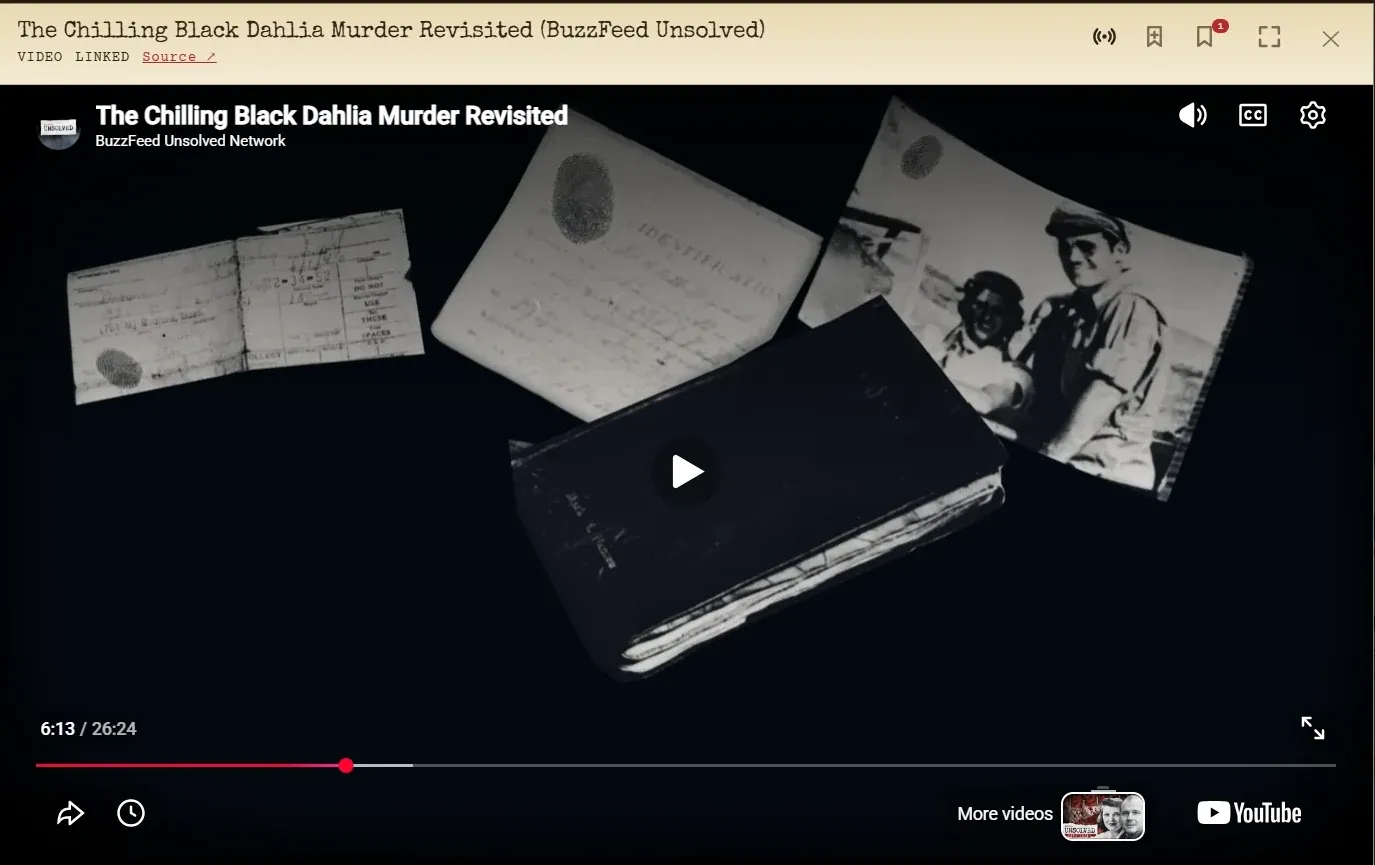 A video playing inside the media viewer, with a bookmark control in the header.
